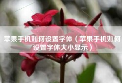 苹果手机如何设置字体（苹果手机如何设置字体大小显示）