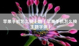 苹果手机怎么换主题（苹果手机怎么换主题字体）