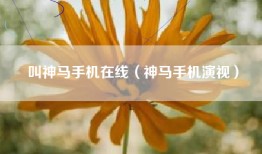 叫神马手机在线（神马手机演视）