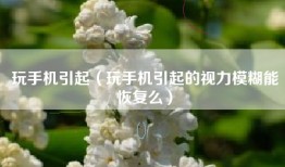 玩手机引起（玩手机引起的视力模糊能恢复么）