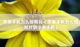 苹果手机怎么传照片（苹果手机怎么传照片到小米手机）