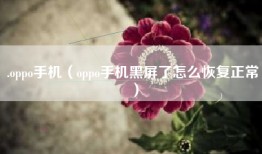 .oppo手机（oppo手机黑屏了怎么恢复正常）