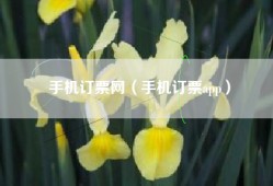 手机订票网（手机订票app）