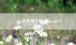 cleo手机版下载（cleo.apk）