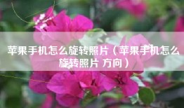 苹果手机怎么旋转照片（苹果手机怎么旋转照片 方向）