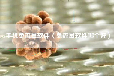 手机免流量软件（免流量软件哪个好）