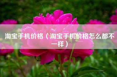 淘宝手机价格（淘宝手机价格怎么都不一样）