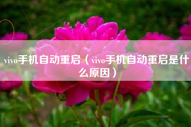 vivo手机自动重启（vivo手机自动重启是什么原因）